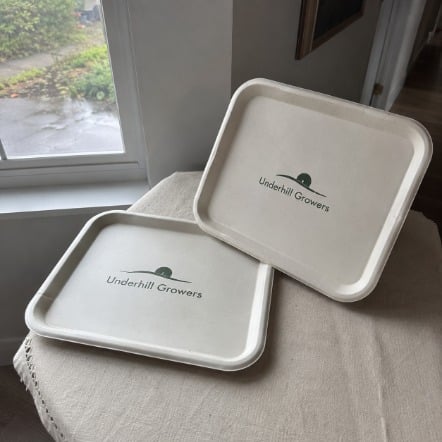 Custom food trays for small business