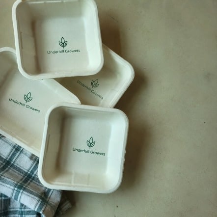 Promotional custom food trays with company logo